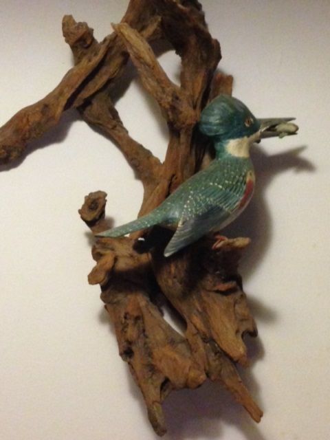Kingfisher with fish in mouth