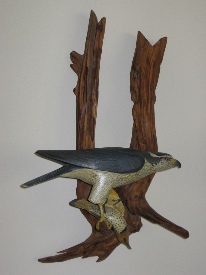 A better picture of the hawk and woodpecker made for Wayne Drees