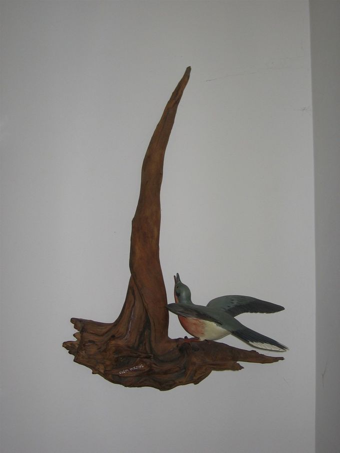 And a better picture of the Passenger Pigeon