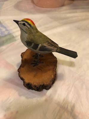 Golden-crowned Kinglet